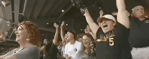 College World Series Baseball GIF by NCAA Championships