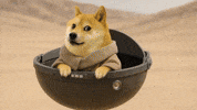 Star Wars Doge GIF by LitVM