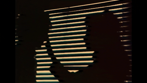 Blixa Bargeld 80S GIF