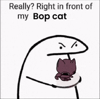 Bop Dancing Cat GIF