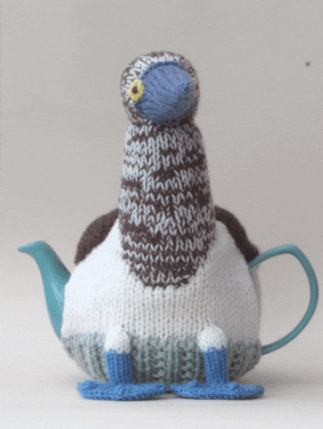 Sea Bird GIF by TeaCosyFolk