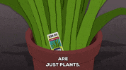 sale pot GIF by South Park 