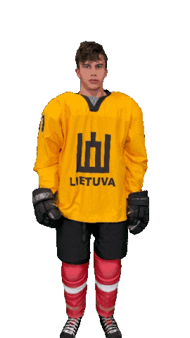 Hockeylietuva Sticker by ledoritulys.lt