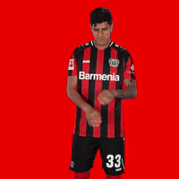 Werkself No GIF by Bayer 04 Leverkusen