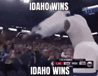 Idaho Vandals GIF