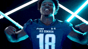 Old Dominion Sport GIF by ODU Football