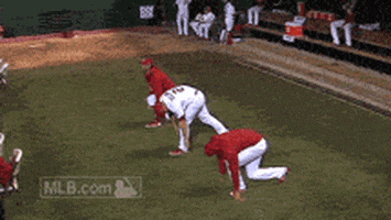 st. louis cardinals GIF by MLB