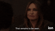 Law And Order Svu GIF by ION