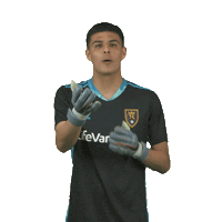 Major League Soccer Sticker by realsaltlake