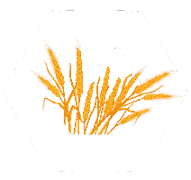 Wheat Novruz Sticker by Bravo Supermarket