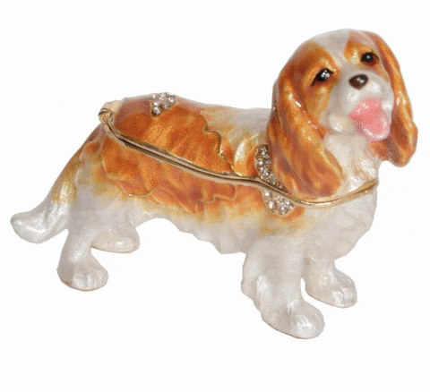 iLoveMyPet giphyupload cavalier king charles spaniel cavalier king charles spaniel gifts GIF