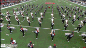 Ncaa Sports GIF by Ohio State Athletics