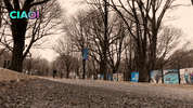 Bye Bye Travel GIF by Casol