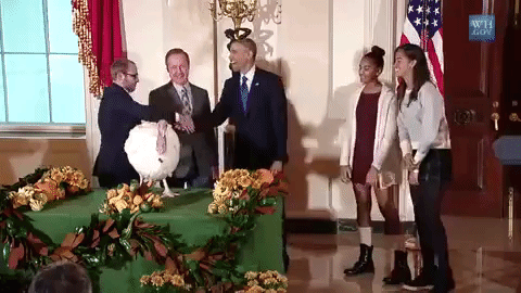 sasha obama thanksgiving GIF by Obama