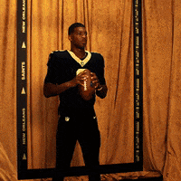 Nfl GIF by New Orleans Saints