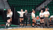 emueagles goeagles GIF by EMU Athletics