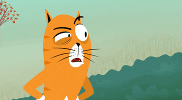 Dog Playing GIF by Kitty Is Not A Cat