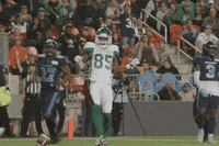 SaskatchewanRoughriders dance football dancing celebration GIF