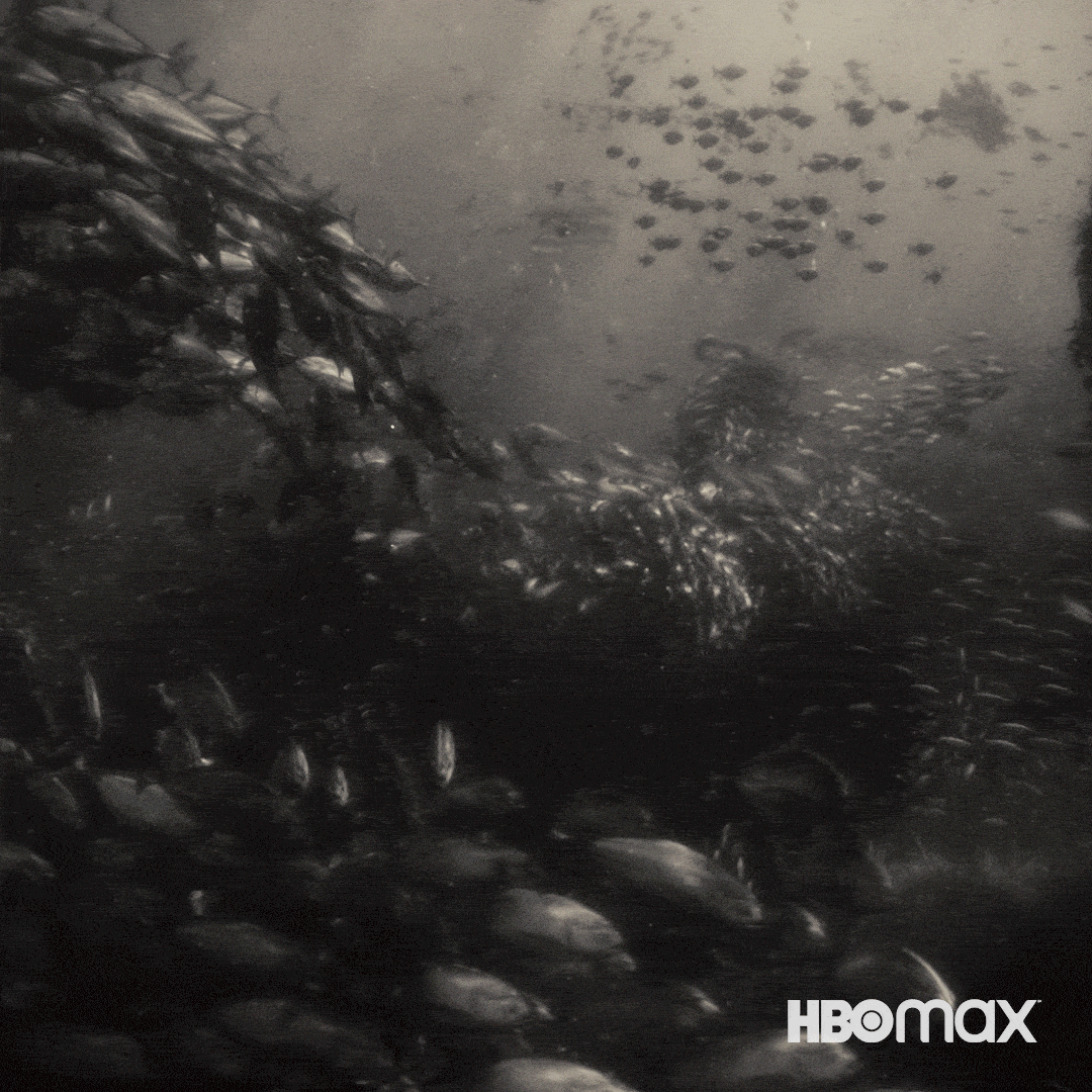 Black And White Swimming GIF by HBO Max