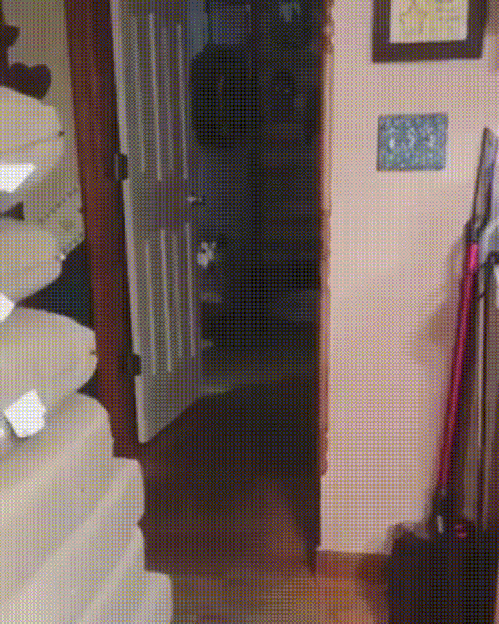 soo GIF
