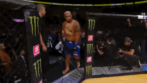 brock lesnar ufc GIF
