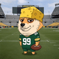 Green Bay Packers Football GIF by Doge Pound