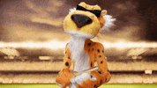 Fan Yourself Chester Cheetah GIF by Cheetos