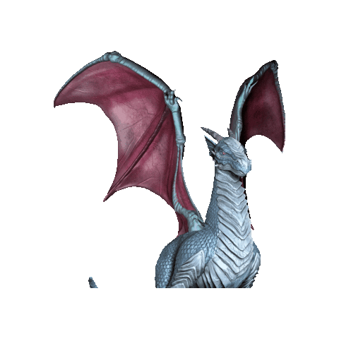 Dragons Race Sticker by Nolab Inmobiliaria