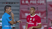 Sl Benfica Goal GIF by Sport Lisboa e Benfica