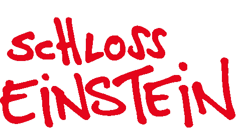 Einstein Selogo Sticker by Mitteldeutscher Rundfunk