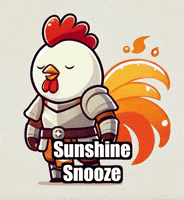 Sun Relax GIF by Zorooster