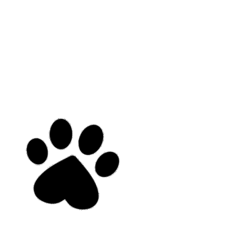 Cute Dog Sticker by Petique, Inc.