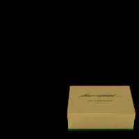 Scarosso brianatwoodxscarosso brian atwood x scarosso GIF