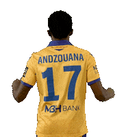 Football Player Sticker by Nike liga