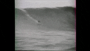 GIF by ARTEfr