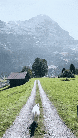 ehdgus1211 giphyupload GIF
