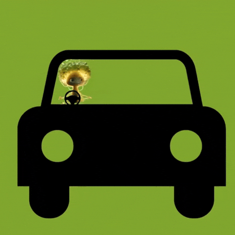 Tgn Pull Up GIF by Treegens