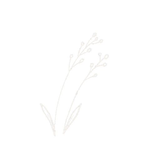 Plant Sticker by Demic