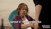 frank gallagher ruler GIF by Showtime
