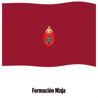 Flag Spain GIF by Formación Ninja