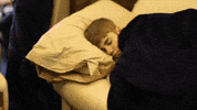 justin bieber sleep GIF