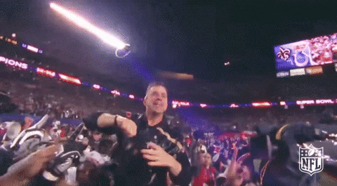 Super Bowl Win GIF by NFL