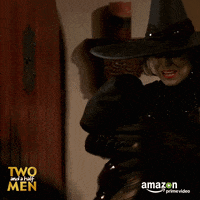 twoandahalfmen carnival fastnacht karneval GIF by Amazon Video DE