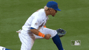Excited Fired Up GIF by New York Mets