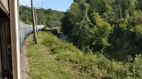 train GIF