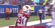 Regular Season Football GIF by NFL