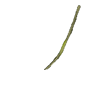 Olive Oil Palestine Sticker