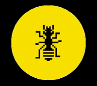 Social Media Design GIF by Aquells nois tan simpatics