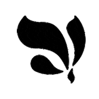 Yosyfinol Diosdelavida Sticker by Yosy Finol Oficial