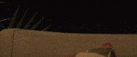 Peek A Boo GIF by Rooster Teeth